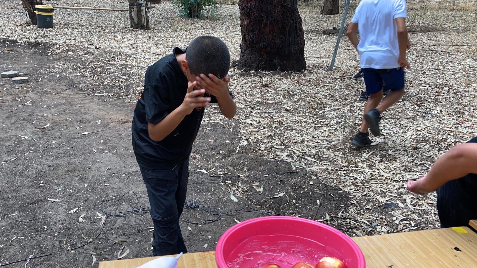 WhatsApp Image 2020-08-21 at 1.43.22 PM.jpeg.jpeg